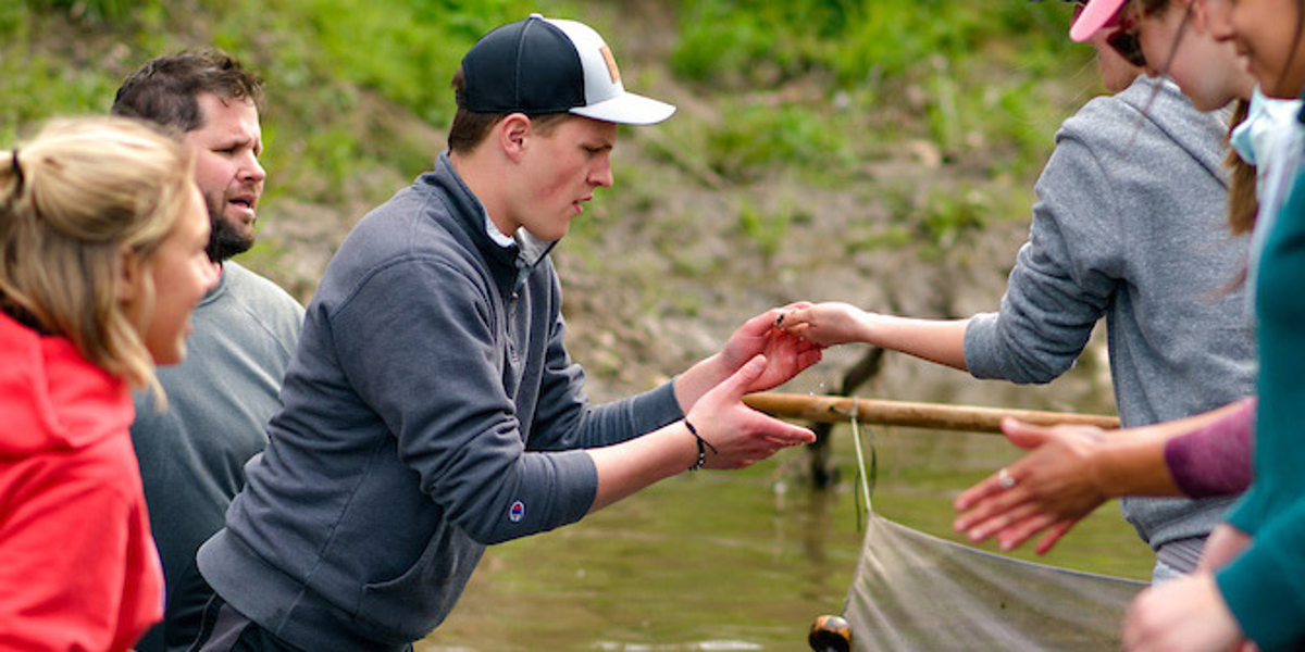 Students studying wildlife in a creek